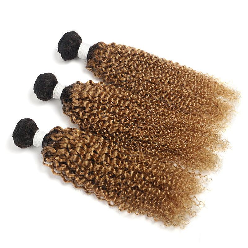 Kinky Curly Ombre Honey Blonde Human Hair Bundles with Lace Closure