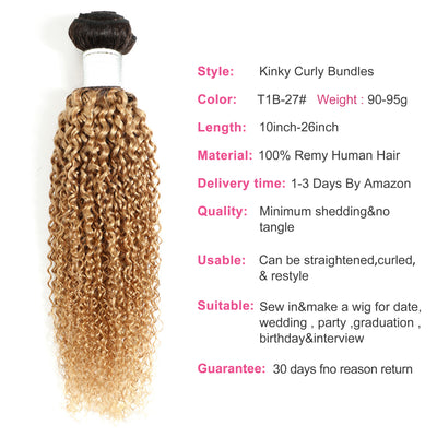 T1B/27 Ombre Honey Blonde Kinky Curly Human Hair Bundles 1PC