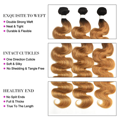 Kemy Hair Ombre Honey Blonde 1B/27 Body Wave Three Human Hair Bundles