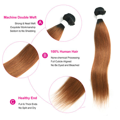 Kemy Hair Ombre Ginger Brown Straight Human Hair Bundle
