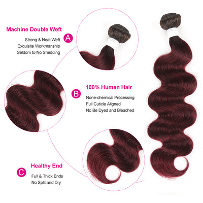 Kemy Hair Ombre Maroon Red Body Wave Human Hair Bundle