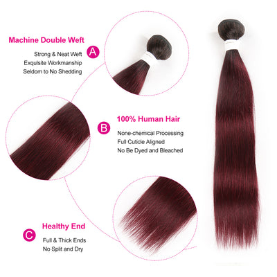 Kemy Hair Ombre Maroon Red Straight Human Hair Bundle