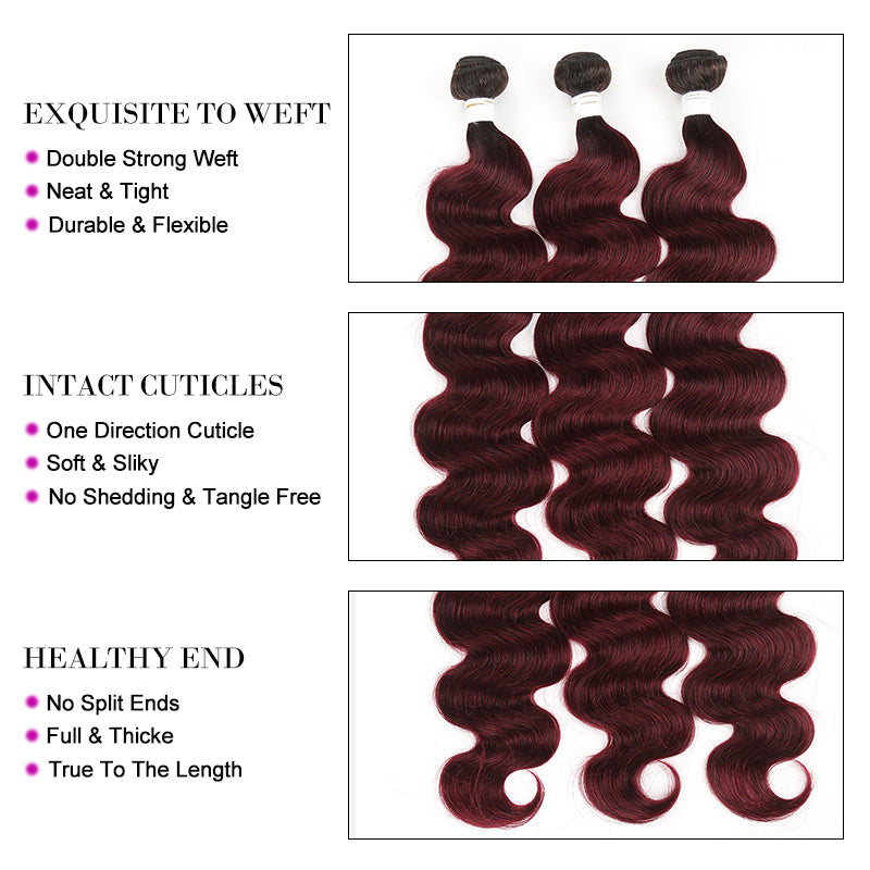 Kemy Hair Ombre Maroon Red Body Wave Three Human Hair Bundles