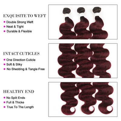 Kemy Hair Ombre Maroon Red Body Wave Four Human Hair Bundles