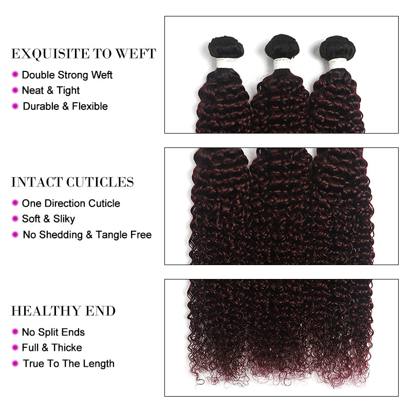 Kemy Hair Ombre Maroon Red kinky curly Four Human Hair Bundles