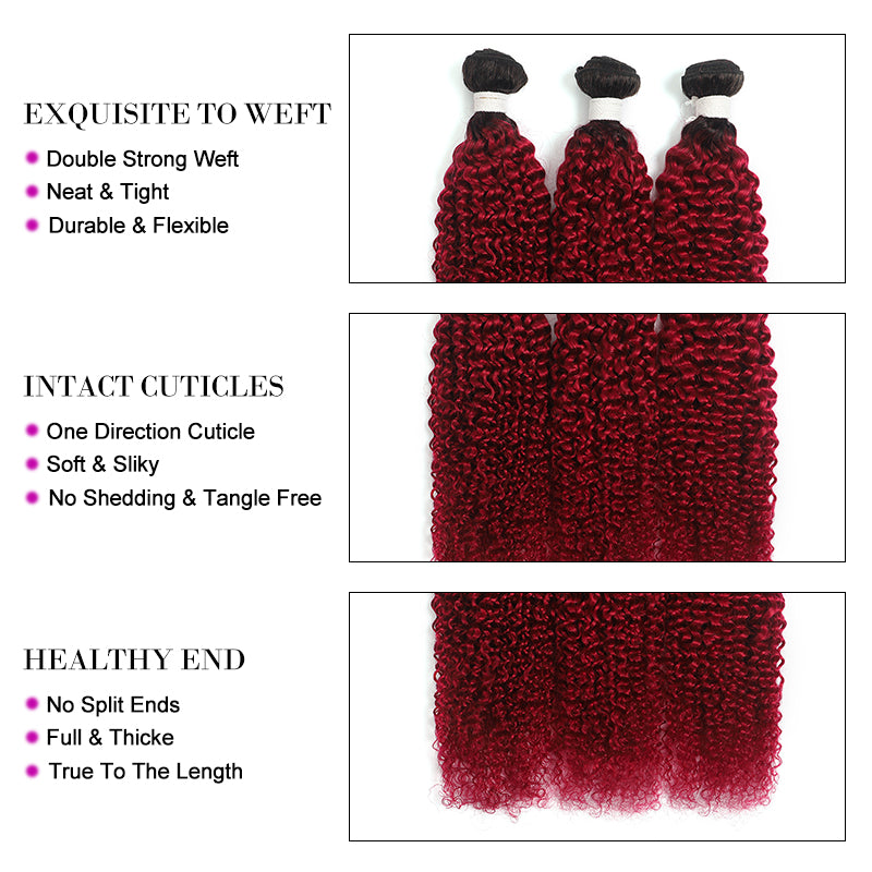 Kemy Hair Ombre BURG Kinky Curly Three Human Hair Bundles