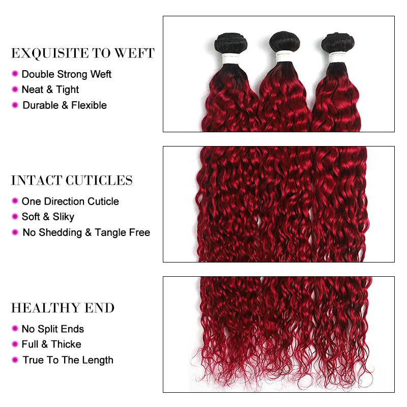 Kemy Hair Ombre BURG Water Wave Four Human Hair Bundles